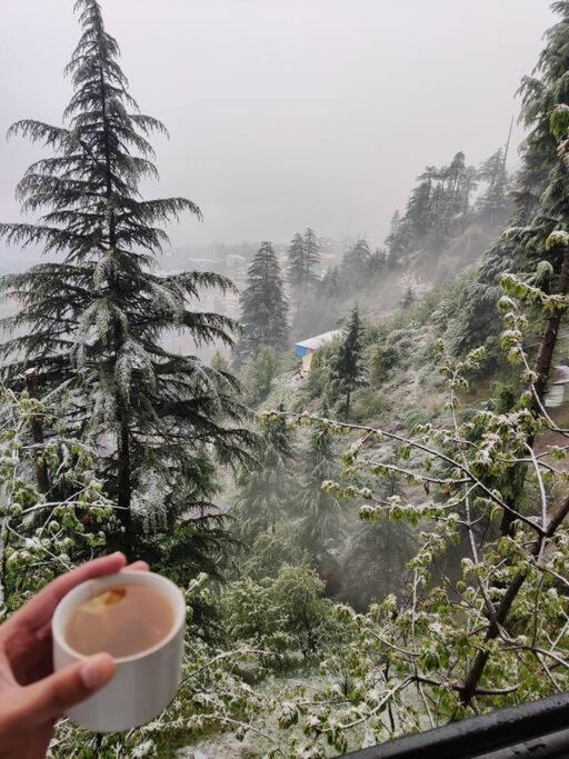 Aroma Taru Villa / Cottage ,Manali Exteriér fotografie