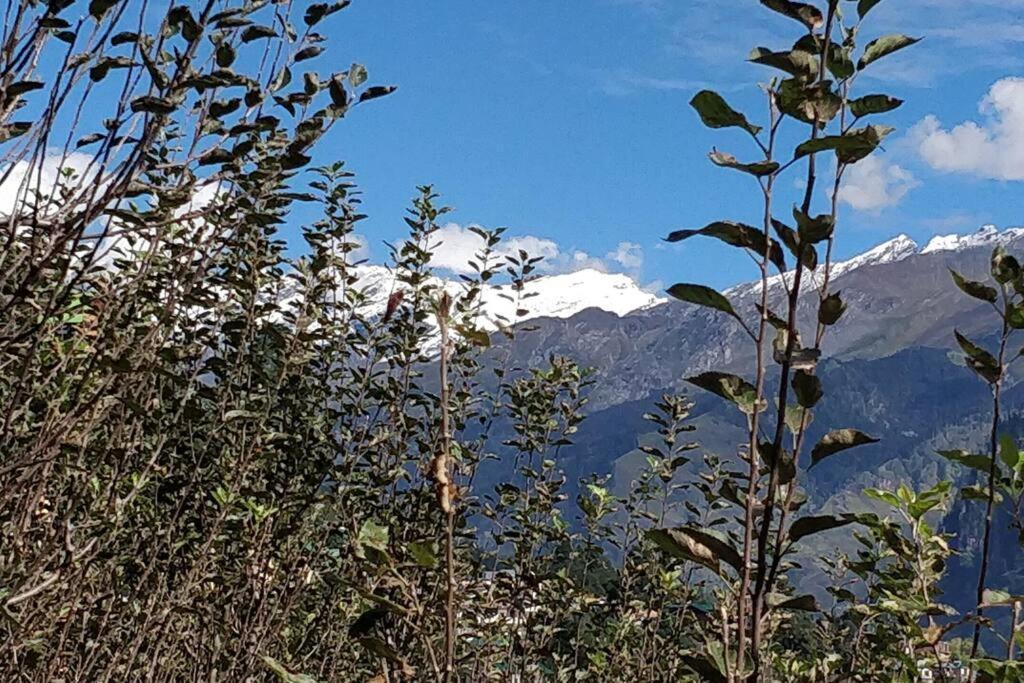 Aroma Taru Villa / Cottage ,Manali Exteriér fotografie